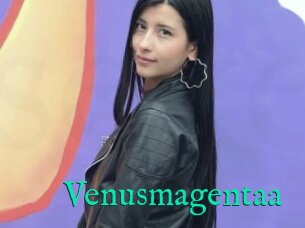 Venusmagentaa