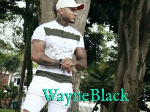 WayneBlack