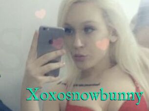 Xoxosnowbunny