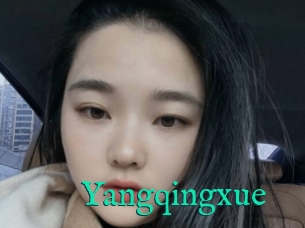 Yangqingxue
