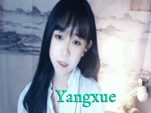 Yangxue