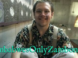 ZimbabwesOnlyZamboni