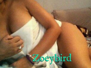 Zoeybird