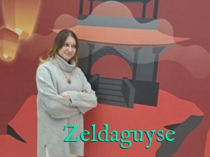 Zeldaguyse